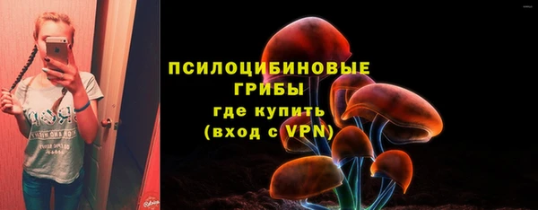 ECSTASY Баксан