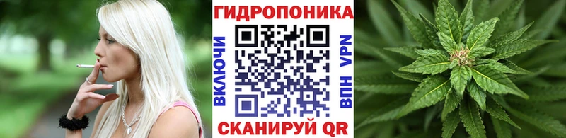 Шишки марихуана Bruce Banner  Котельниково 